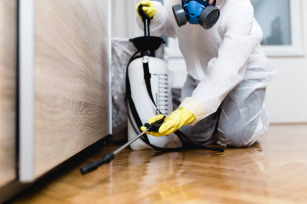 Best Residential Pest Control  in Longwood, FL