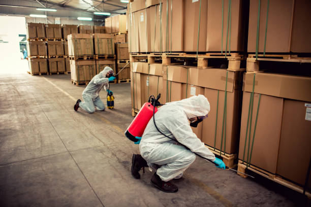 Best Emergency Pest Control  in Longwood, FL