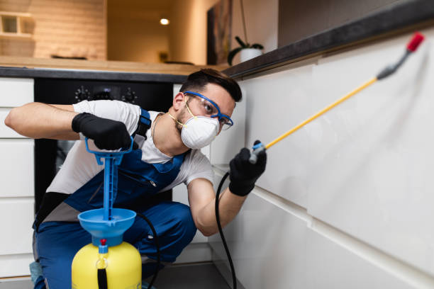 Best Affordable Pest Control Services  in Longwood, FL