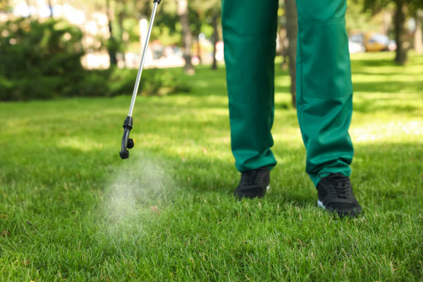 Best Best Pest Control Companies  in Longwood, FL