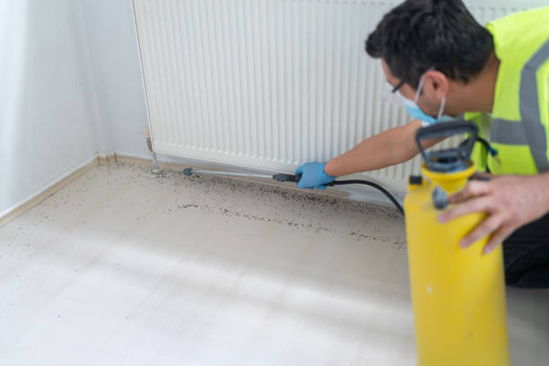 Best Best Pest Control Companies  in Longwood, FL