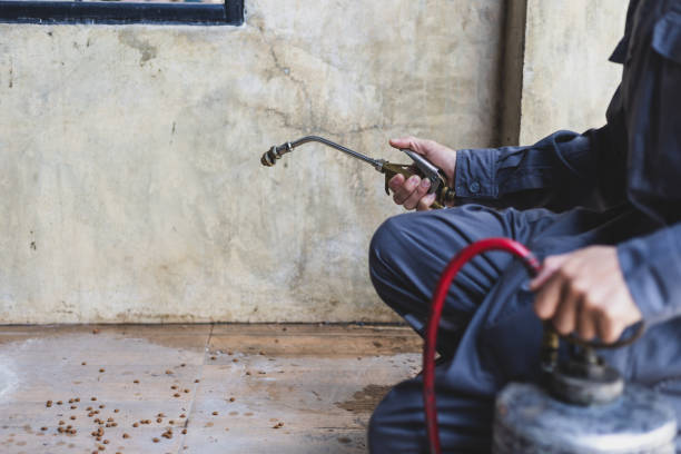 Best Residential Pest Control  in Longwood, FL