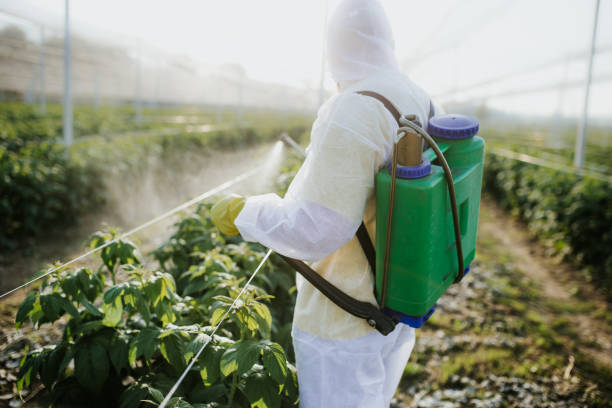 Pest Control Cost in Longwood, FL